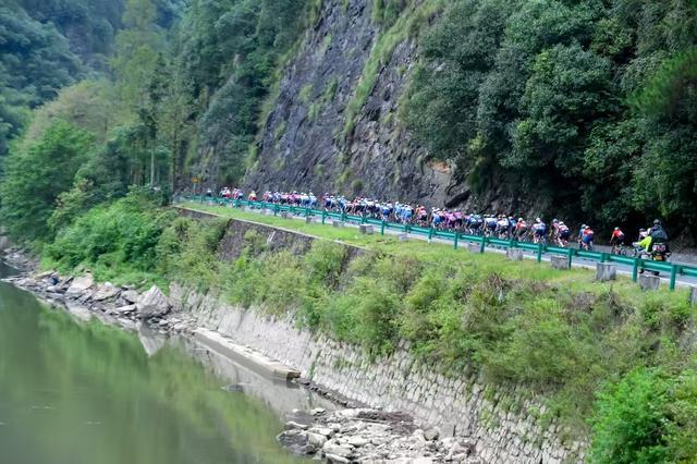 公司运营, 总冠军